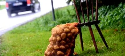 alimentația