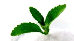 toate acestea