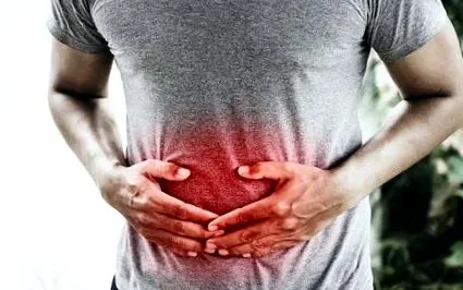 intestinul