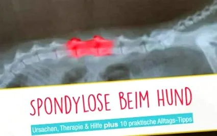 tünetek
