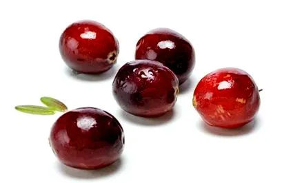 változata