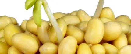 аптечний