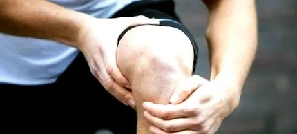 sportive