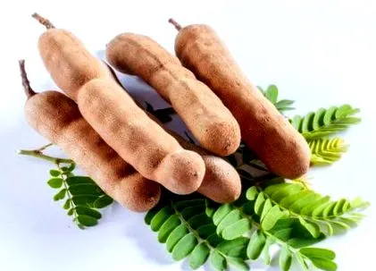 tamarind