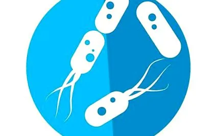 crohn-kórt
