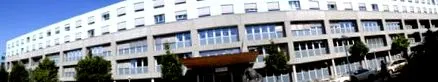 rinichi