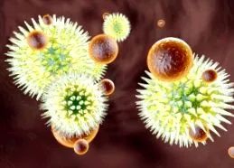 immunglobulinok