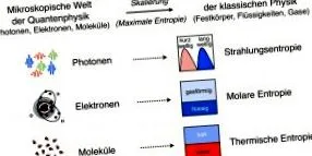föld