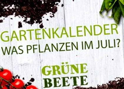 zöldségeket kell
