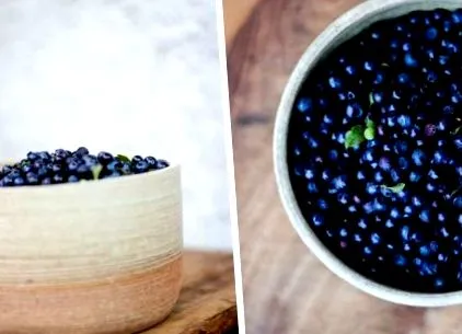 antioxidánsok