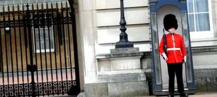 vénás