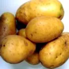 dietei
