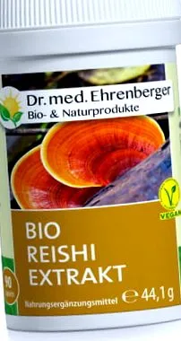 интернет