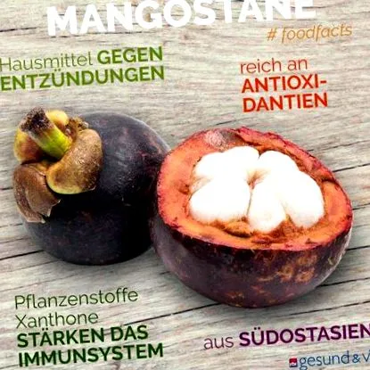 mangosztán