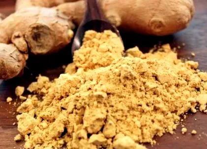 Ayurveda Parkschlösschen