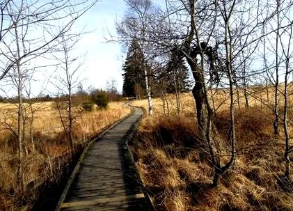 kirándulás