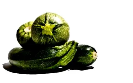 legume