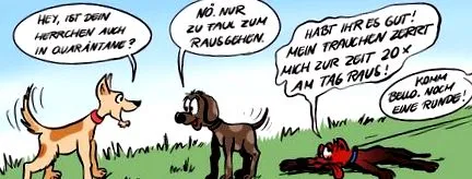 lifetime4dogs antrenament