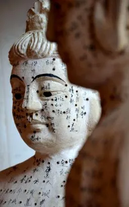 medicină chineză