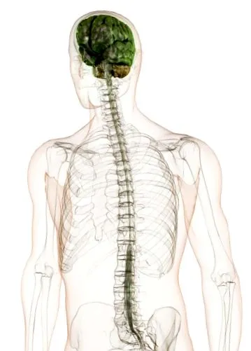 encephalomyelitis