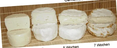 anderlbauer anderlbauer