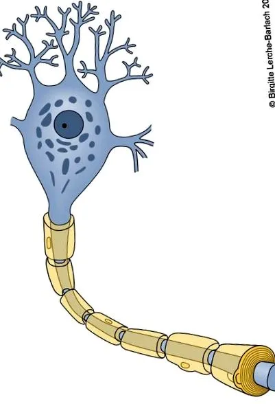 encephalomyelitis