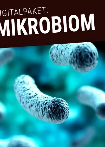 bacteriile