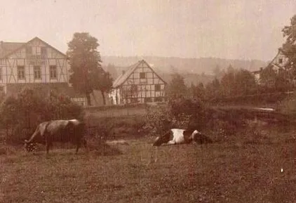 fotografii