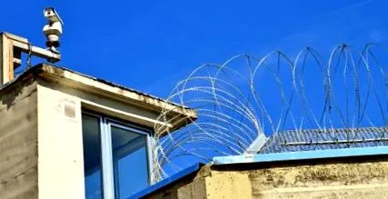 fără