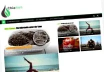 fizice bloggeramt