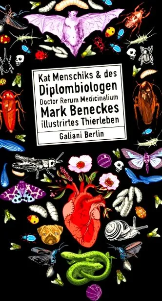 gunzenhausen f-en