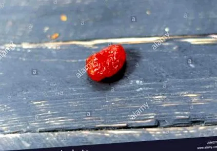 kizil