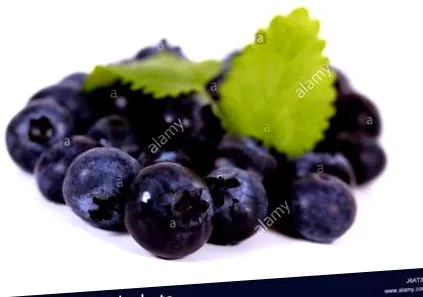 dieta