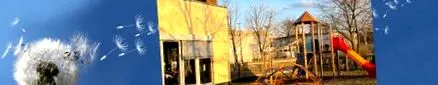 biomedicale