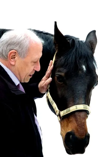 Atcom Horse GmbH