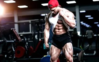 musculare