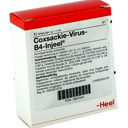 injeel coxsackie