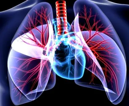 pulmonalis