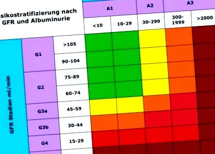 функцијата бубрезите