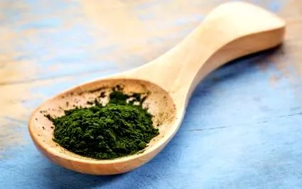 chlorella