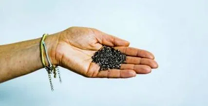 seeds