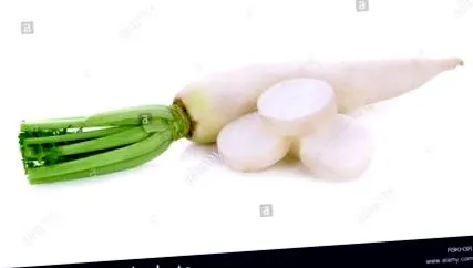 daikon
