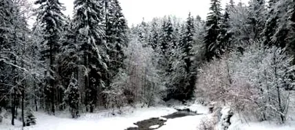 studiu