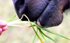 akkor nagyobb