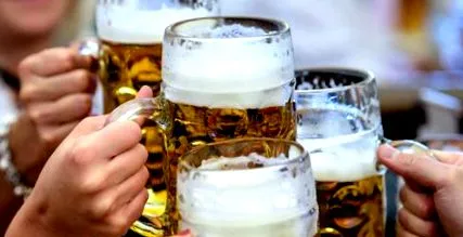 homebrewer