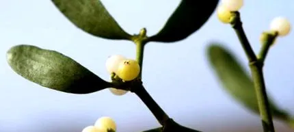 este