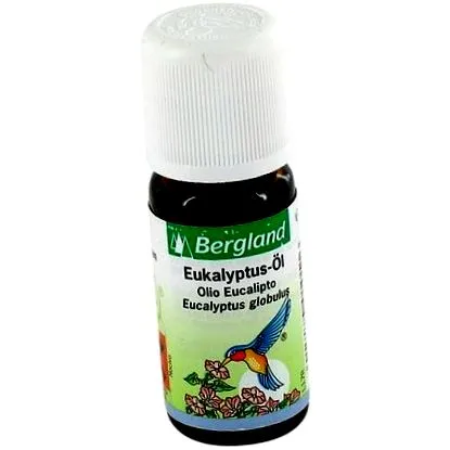 eucalyptus