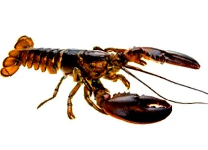 egyesebbek