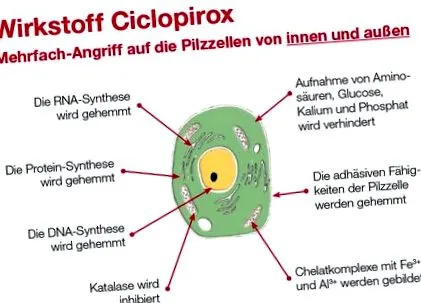 ecet