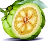 cambogia